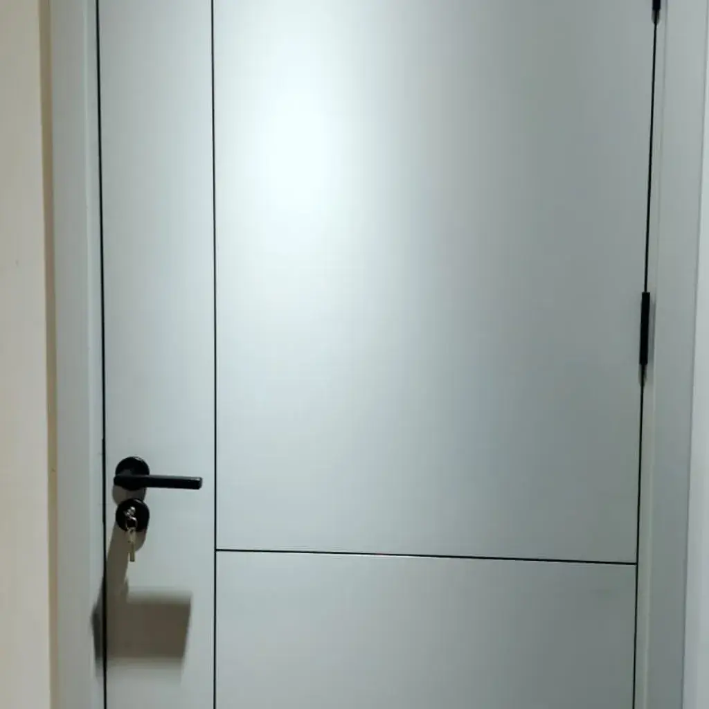 Modern Glass Door