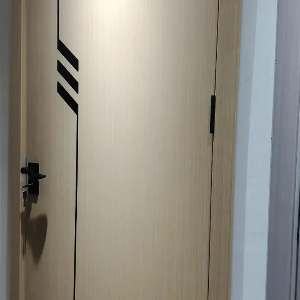 Modern Interior Door