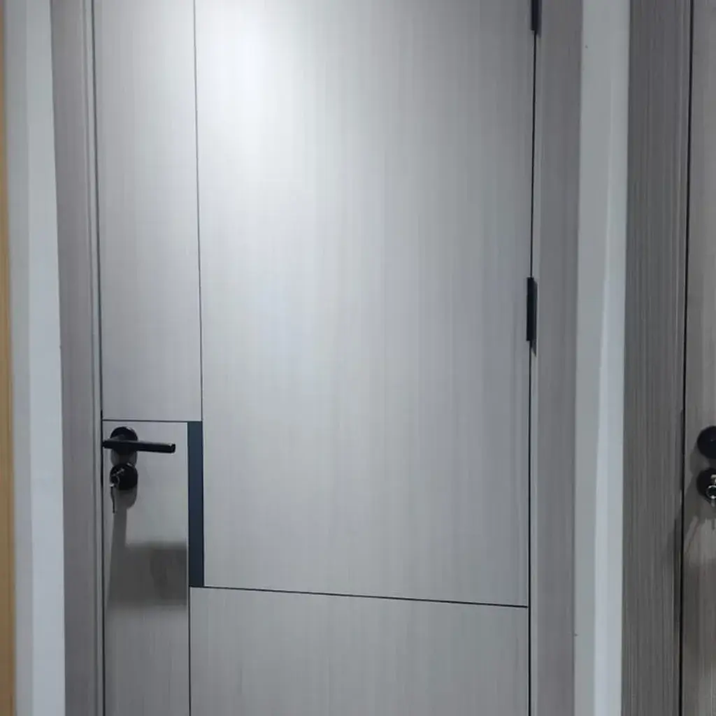 Sleek Modern Sliding Door